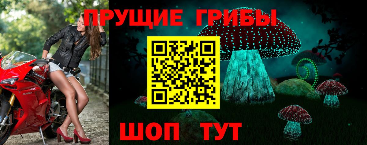 Галлюциногенные грибы Гусев