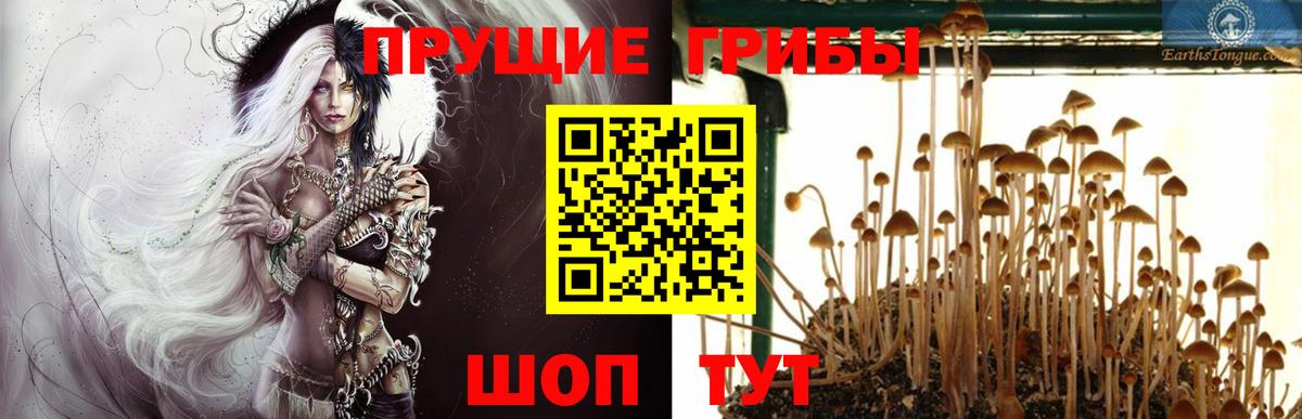 Гусев  Галлюциногенные грибы ЛСД  Галлюциногенные грибы Magic Shrooms  продажа наркотиков  Вход с VPN 