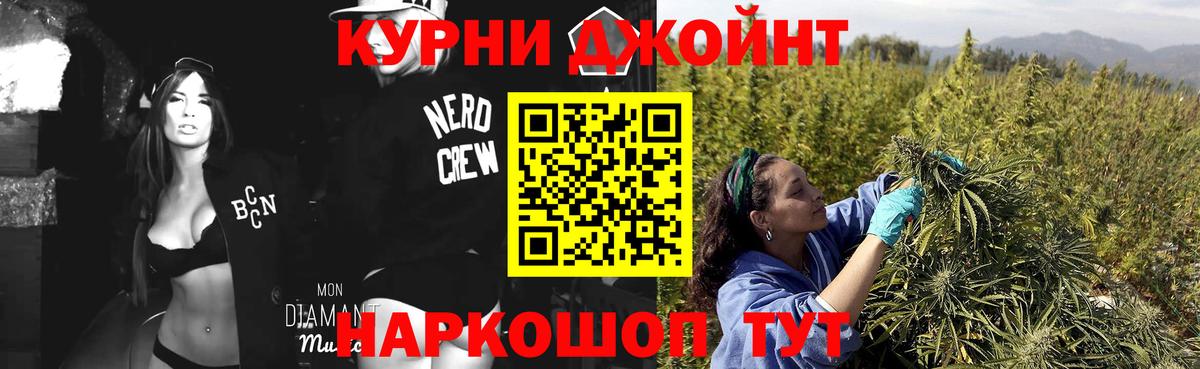 Канабис ГИДРОПОН  Марихуана планчик  Гусев  Вход с VPN 